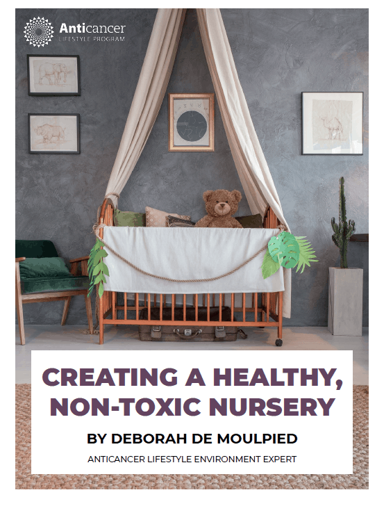 The Healthy Non-Toxic Nursery eBook cover