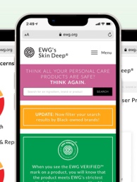 EWG toolkit app on a cell phone screen