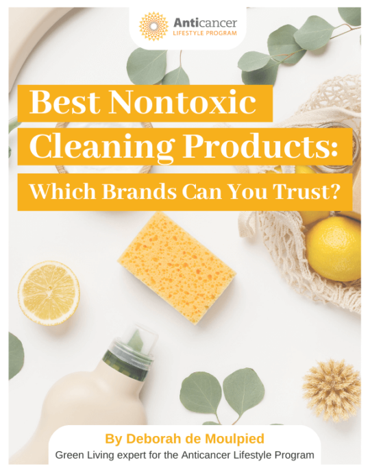 Best Nontoxic Cleaning Products: Which Brands Can You Trust ...