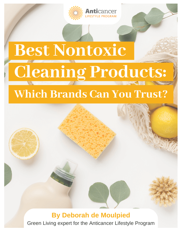 PDF cover of a light background with lemons, spices and green leaves on a table with text overlay that says "best non toxic cleaning products: which brands can you trust?"