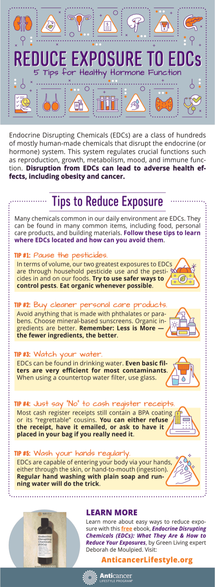 edc infographic healthy hormones anticancer endocrine disruptors bpa